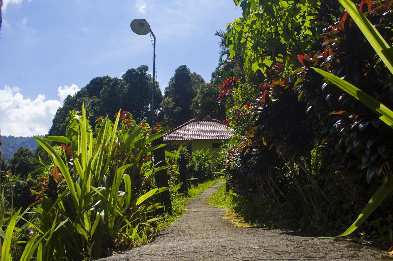 Aryautama Garden Villa Munduk  Exterior photo