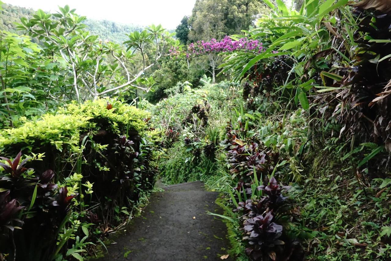 Aryautama Garden Villa Munduk  Exterior photo