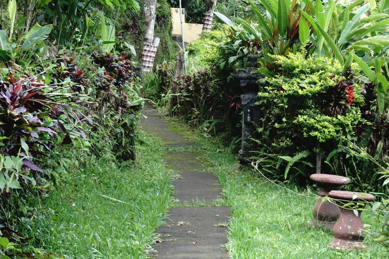 Aryautama Garden Villa Munduk  Exterior photo